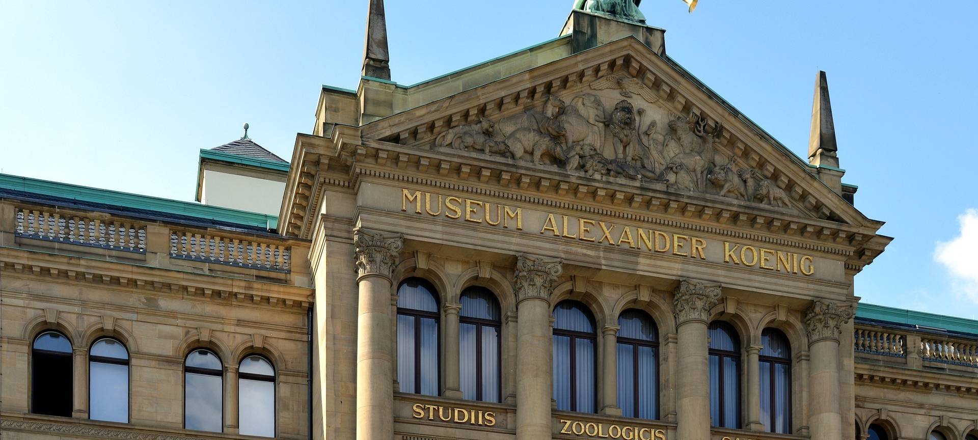 Freier Eintritt am Internationalen Museumstag