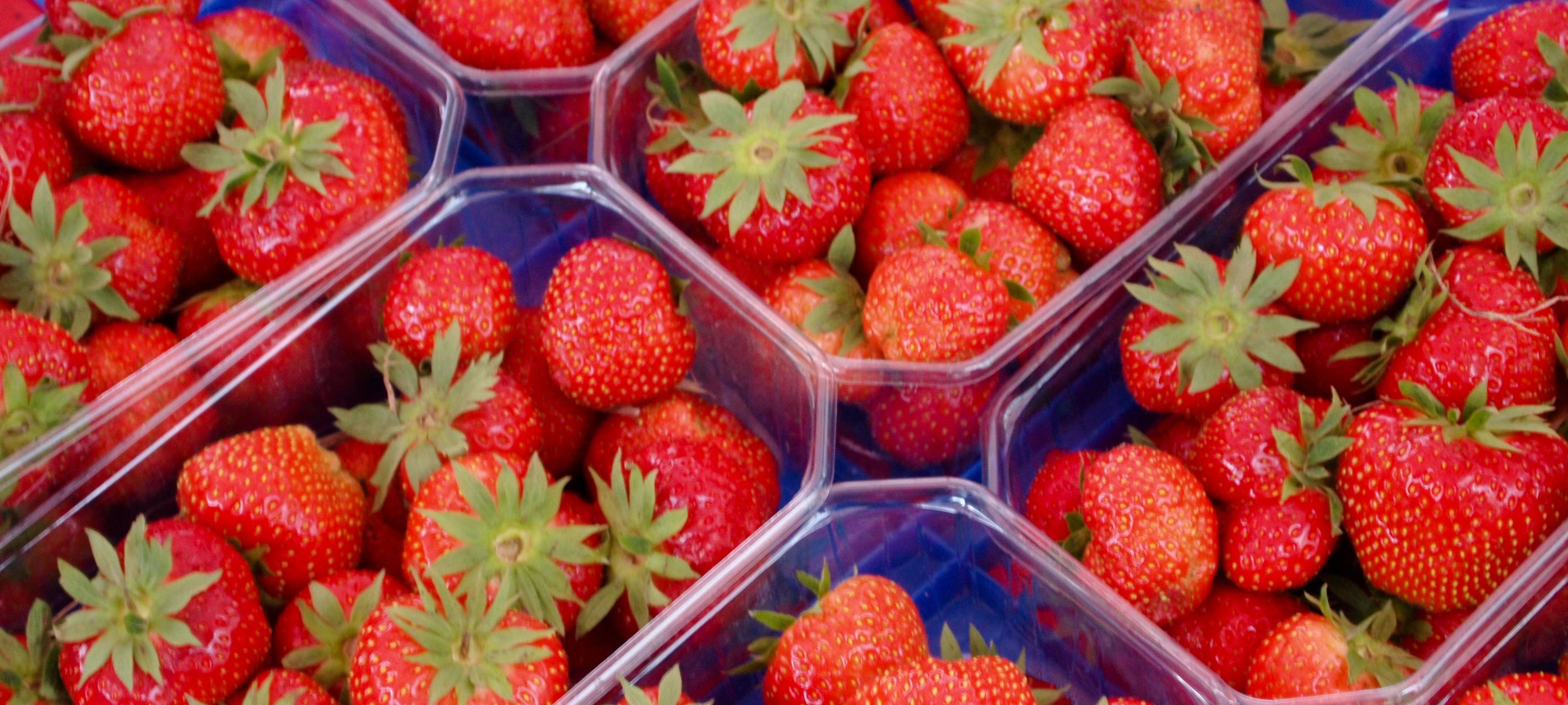 Erdbeeren pflücken in der Region