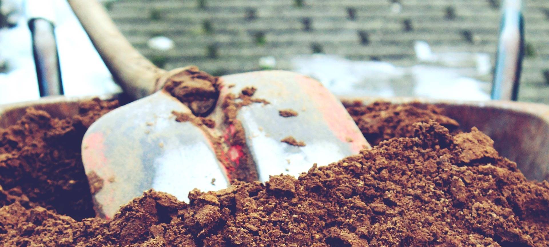 Bonn-Tannenbusch: Alte Bunkeranlage entdeckt