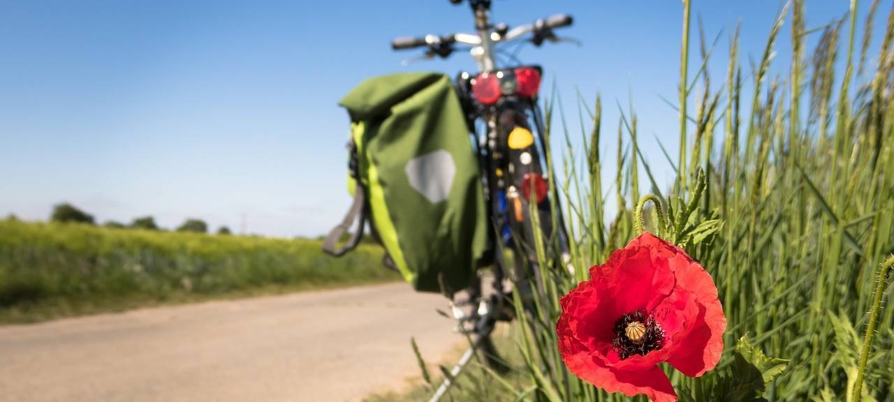 Fahrrad-Fähr-Tag: Trotz Fähr-Ausfall gibt es Programm