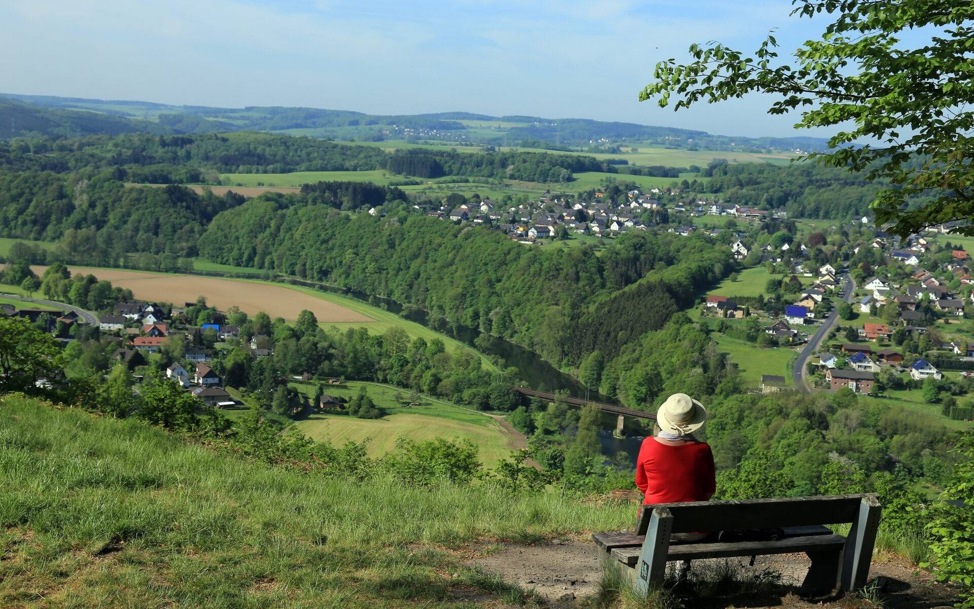 Studie: Hohe Lebensqualität in Bonn und dem Rhein-Sieg-Kreis