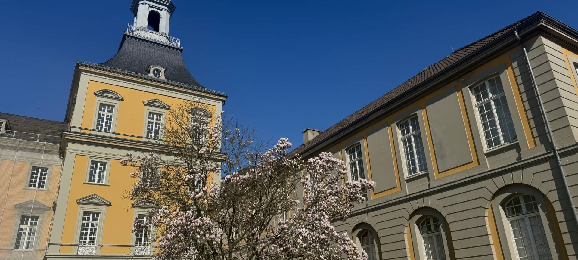 Bonn: Universitätsmuseum schließt vorerst zum Jahresende
