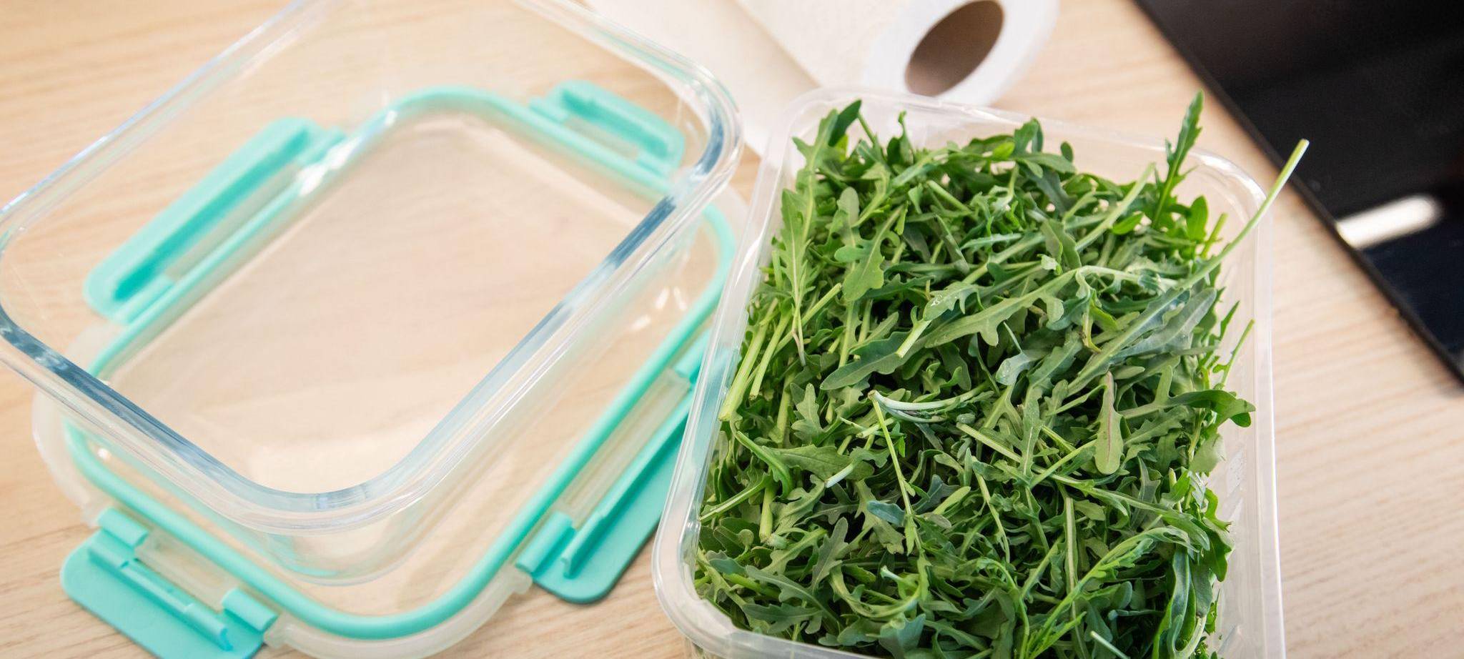 Rucola liegt in einer Frischhaltedose