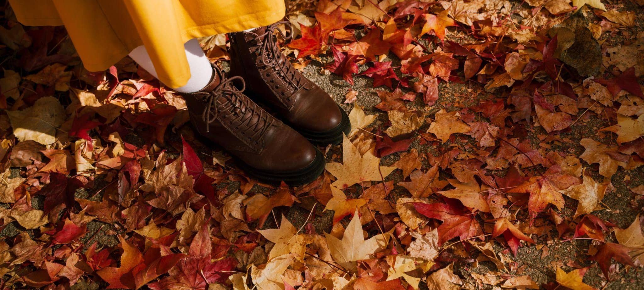 Braune Schuhe stehen in herbstlich gefärbten Laub