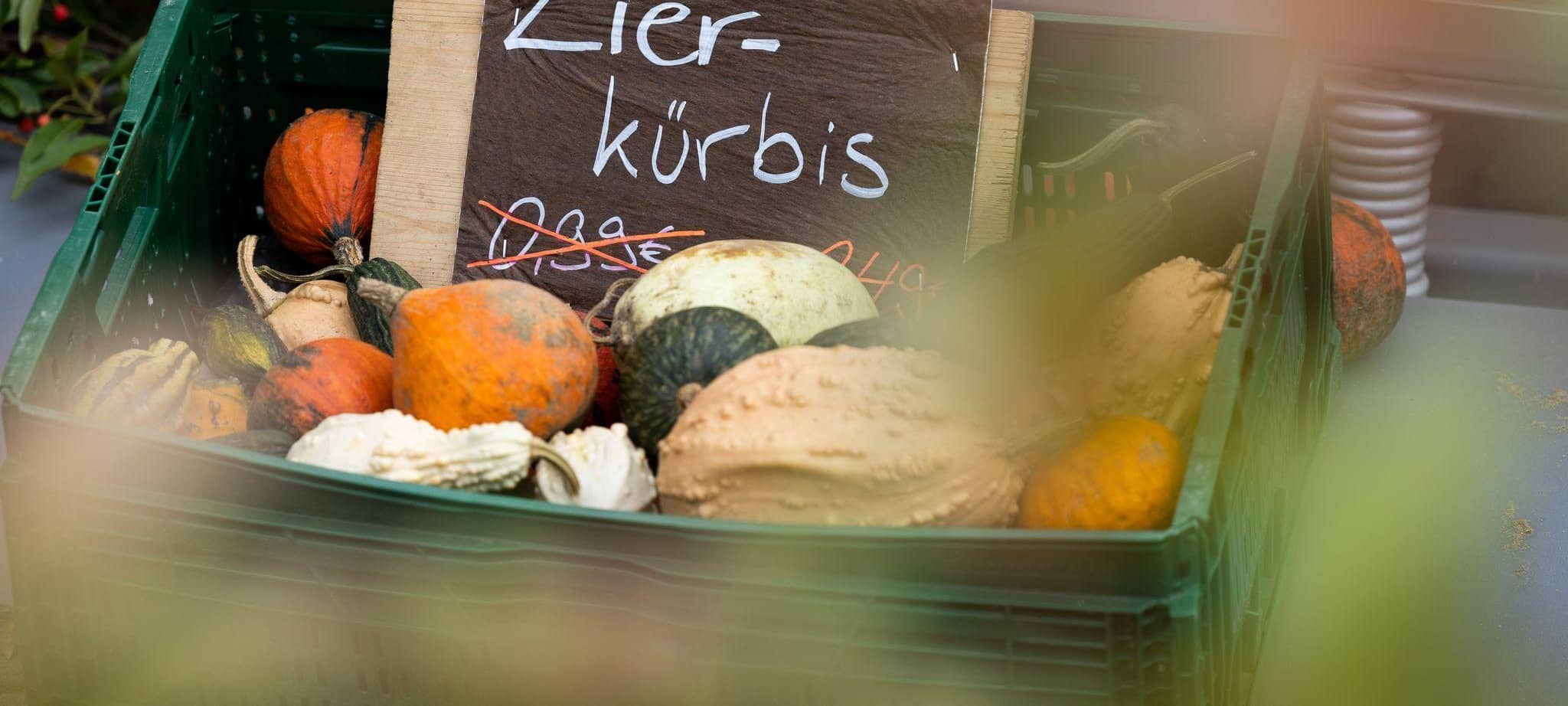 Zierkürbisse liegen in der Auslage eines Hofes