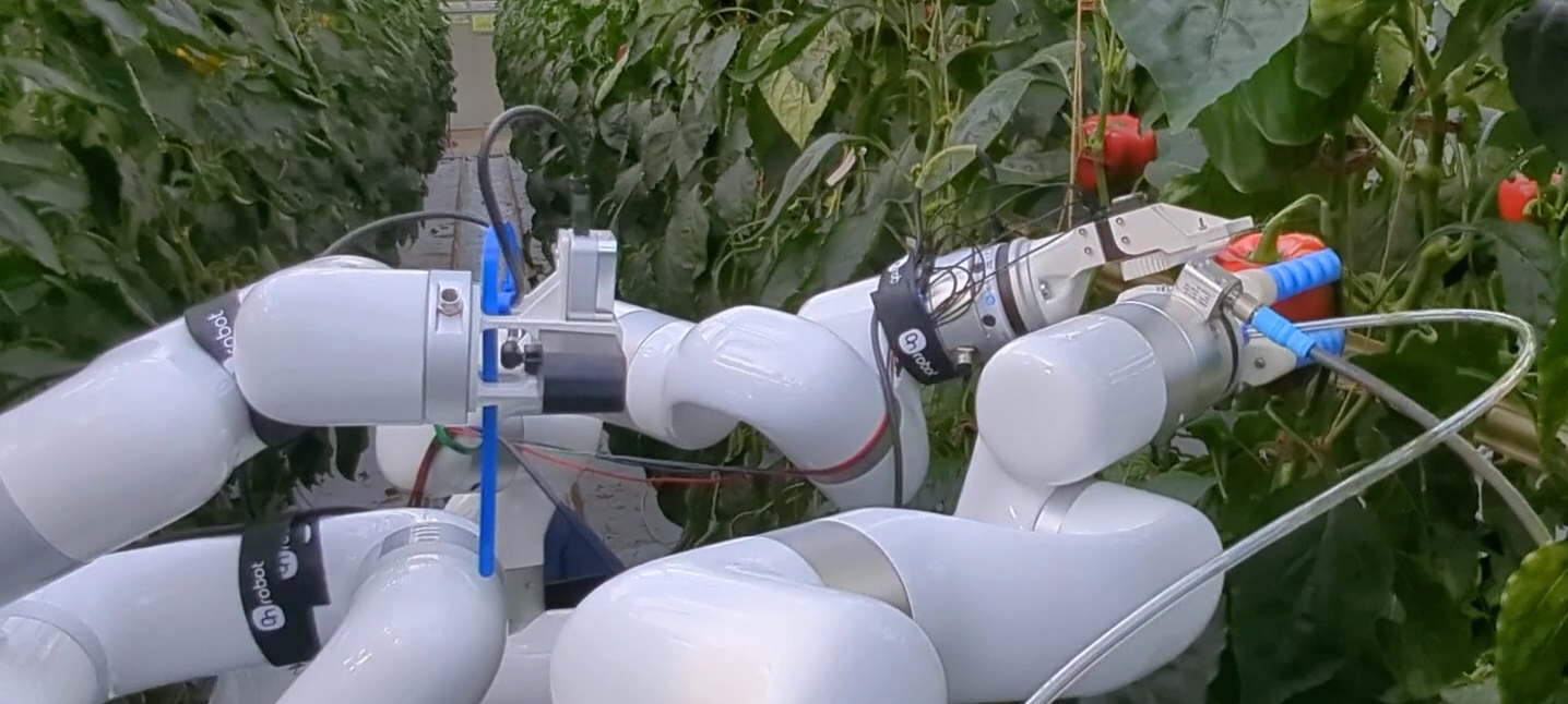 Uni Bonn: Forscher entwickeln Roboter-Erntehelfer